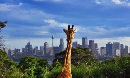 Истинные цели и ложные Истинные цели и ложные