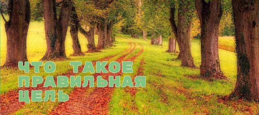 Что такое правильная цель