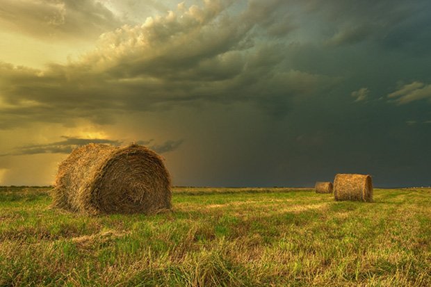 Случай из сессии
