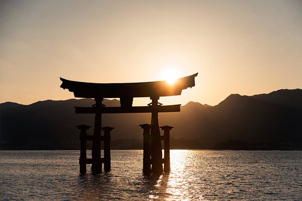 Как появляется ответ