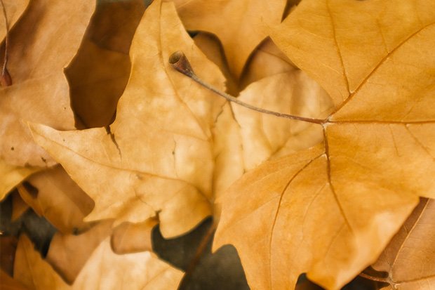 Психология саморазвития – Основные понятия для духовного развития